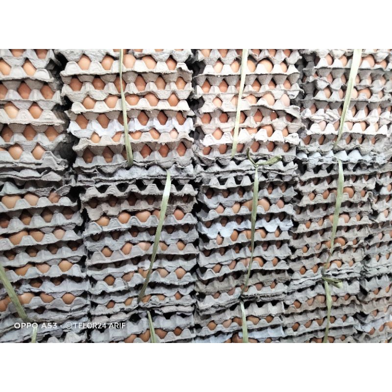

telor negri fresh pilihan 30 butir||