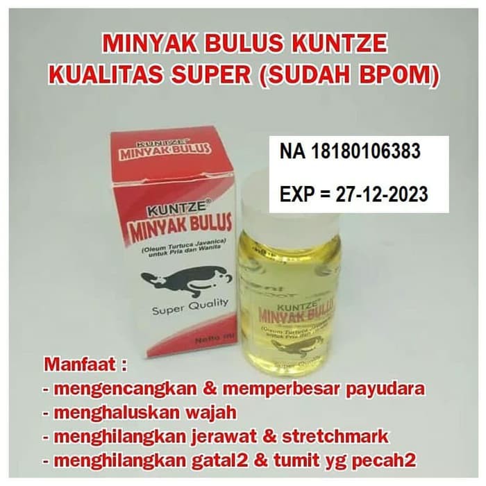 MINYAK BULUS KUNTZE BPOM / MINYAK BULUS PUTIH BPOM