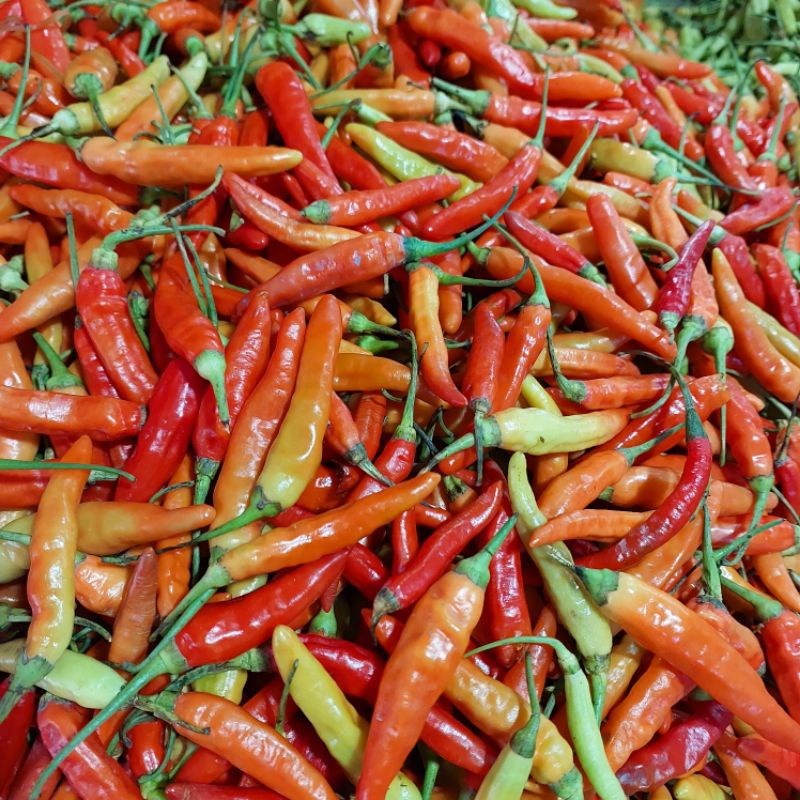 

Cabe Rawit Merah 500 Gram