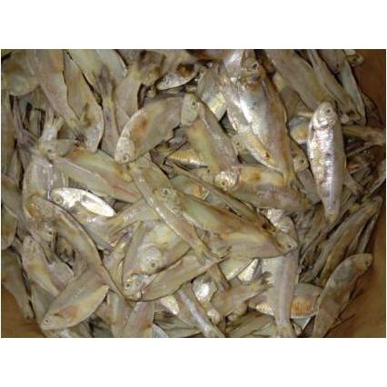

Ikan Asin Perak Bulat ( 250 Gr )