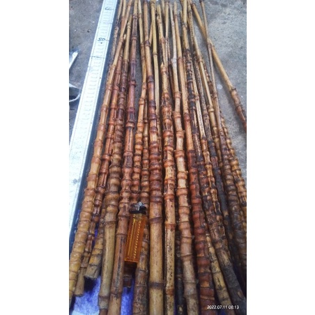 bambu cendani bongkot kecil