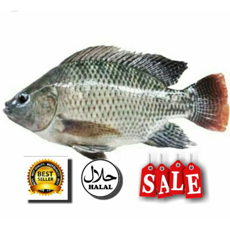 

ikan nila atau mujair frozen 1kg