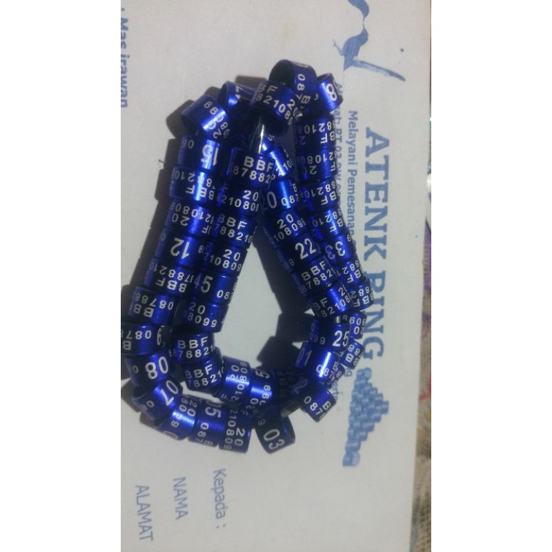 ring,identitas,burung,puter,pelung,costume,laser,,