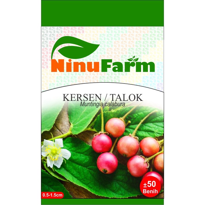 Benih Kersen/Talok 50Seeds