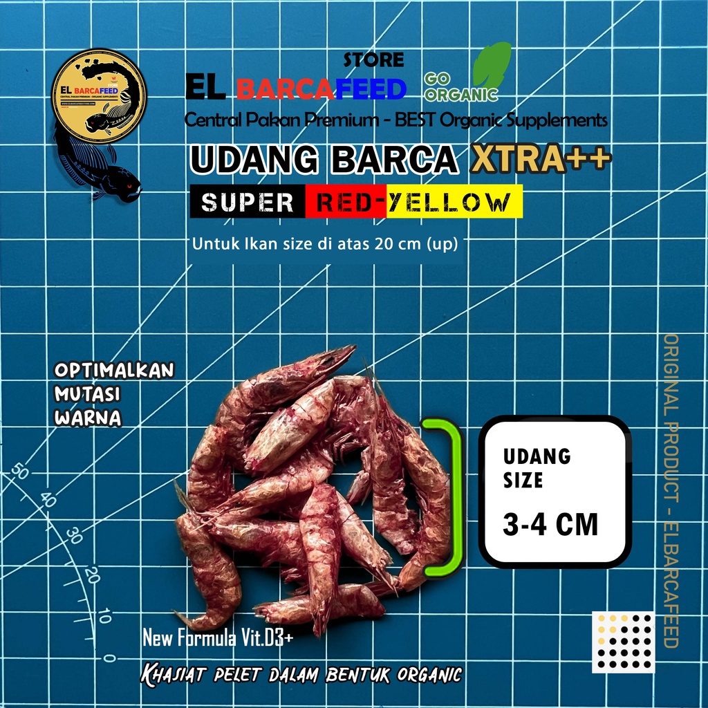 UDANG BARCA Xtra++ [RED-YELLOW BOOSTER] UDANG KERING BESAR untuk ikan &gt; 20 cm keatas PUSH SUPER RED-YELLOW-GOLD-ALBINO COLOR - Pakan Pelet Ikan Channa, Koki, Arwana, Louhan, Koi &amp; ikan hias lainnya