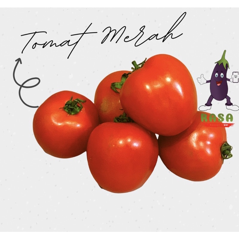 

Tomat Merah250gram