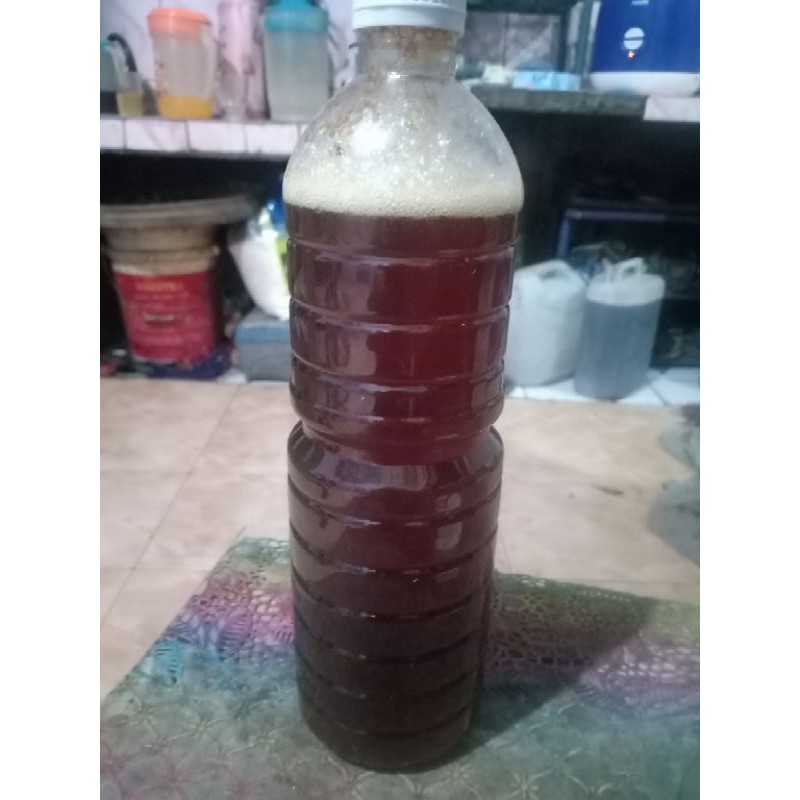 

madu lebah hutan murni