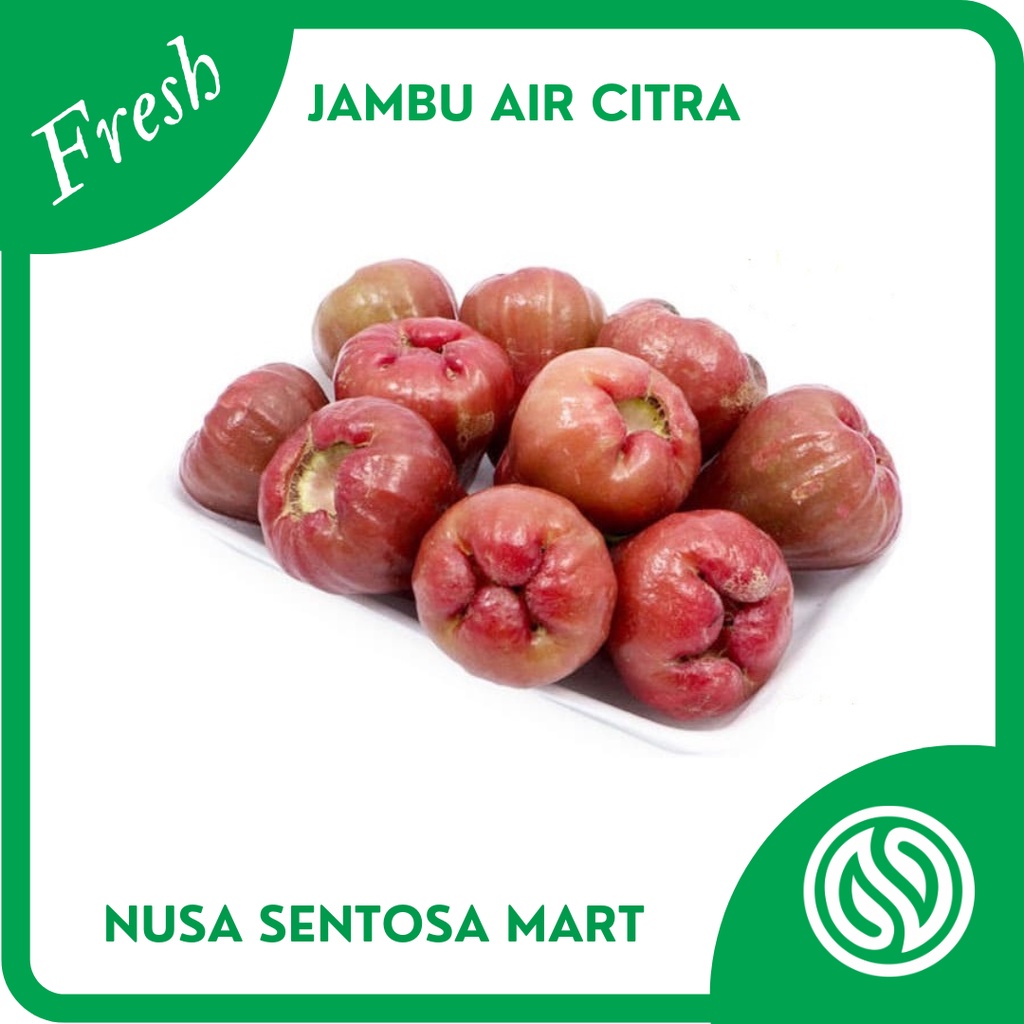 

Buah Jambu Air Citra Segar – 1 Kg