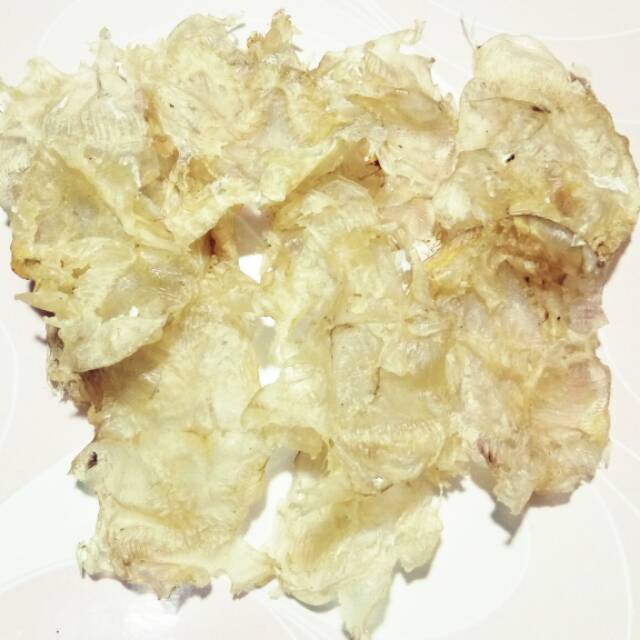 

FHIS MAW | GELEMBUANG IKAN MANYUNG | CATAK MANYUNG