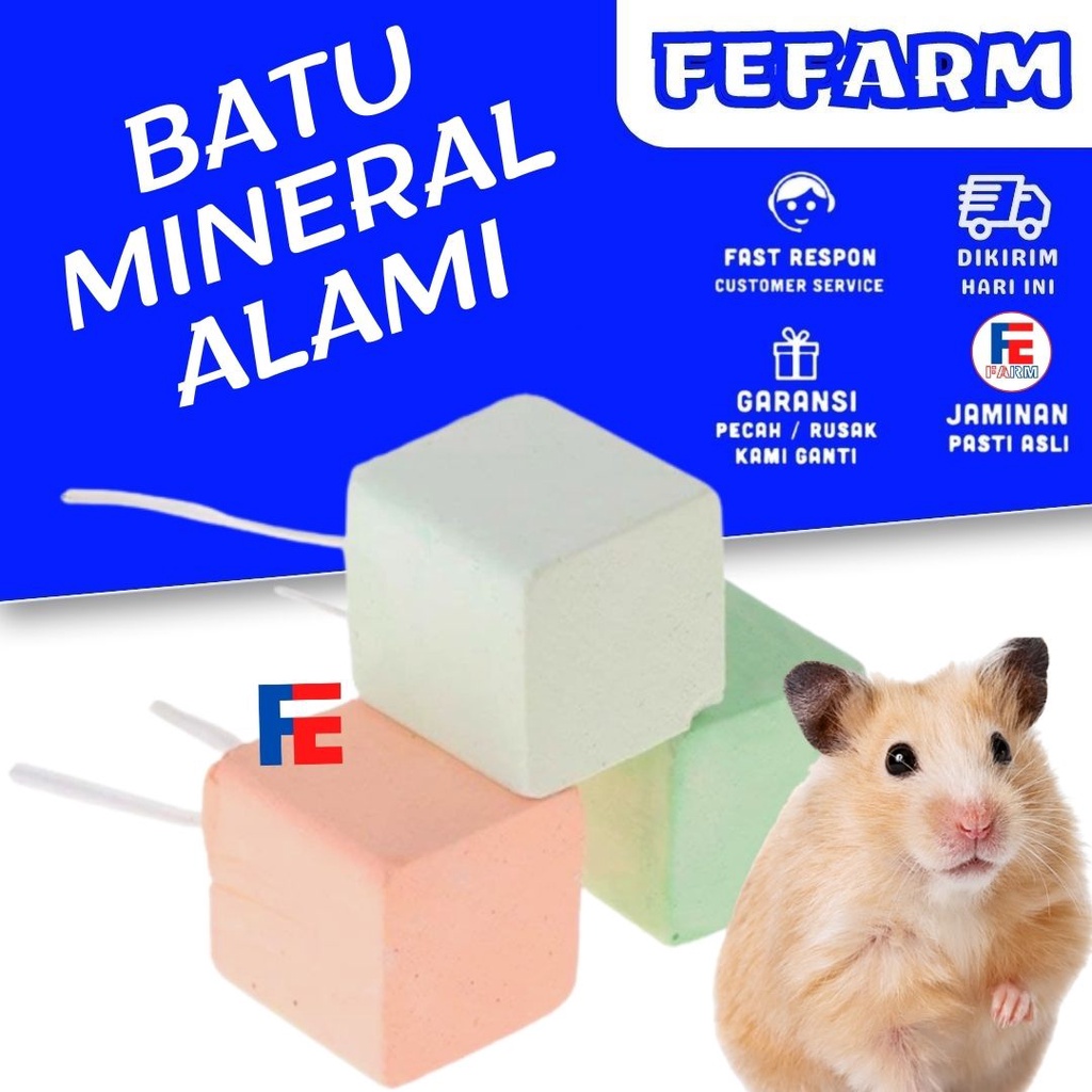 Gigitan Hamster Batu Gigit Hamster Batu Asah hamster Gnawing Stone Alex FEFARM