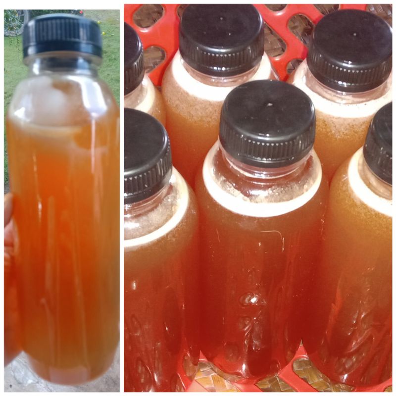 

madu hutan asli kalimantan isi 500 ml