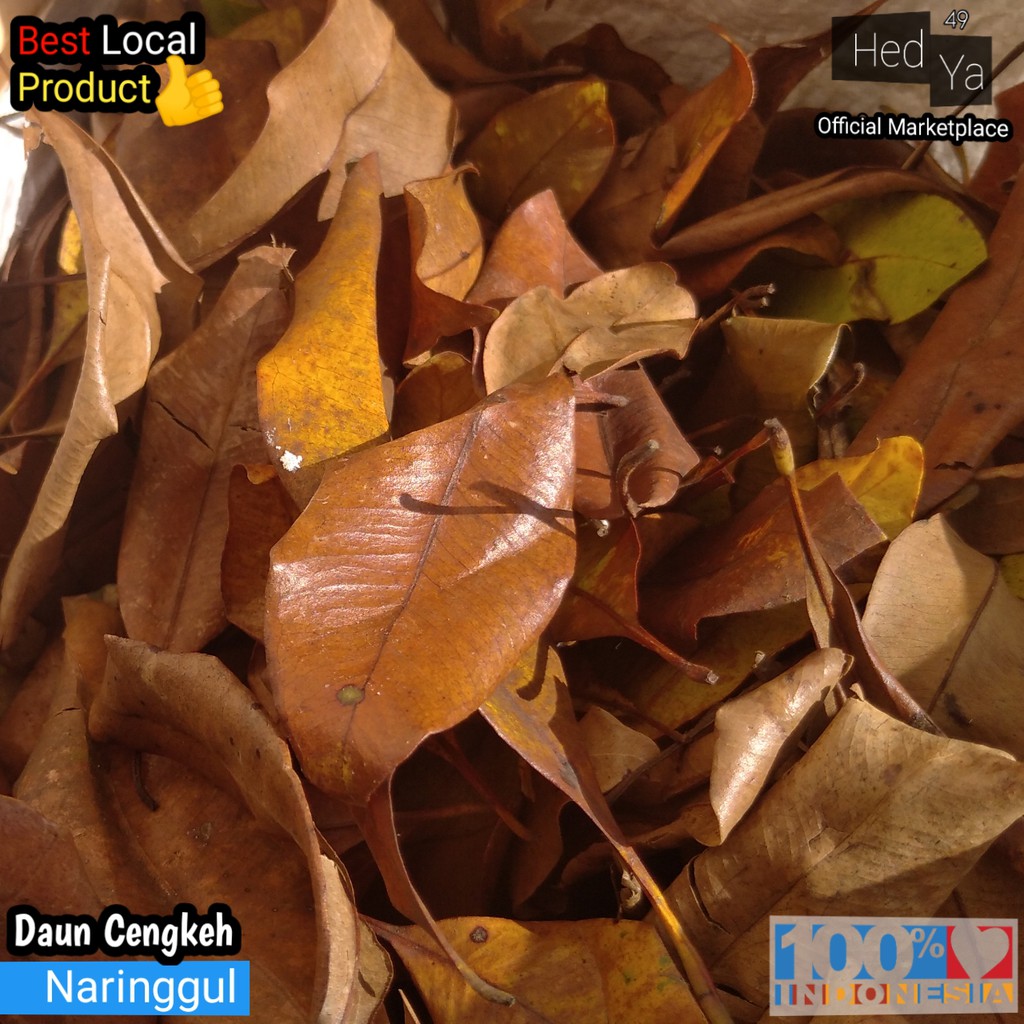 

Daun Cengkeh Kering 1kg Murah Obat Herbal Wedang