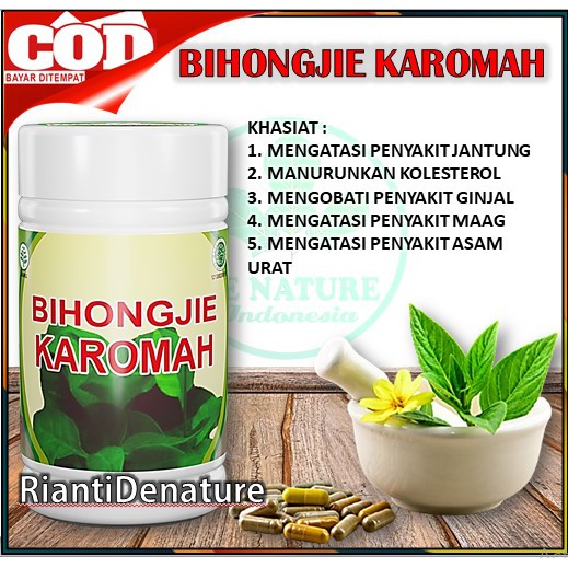 

BIHONG JIE OBAT JANTUNG , KOLESTEROL , MAG KRONIS , ASAM URAT ASLI PT De Nature Indonesia