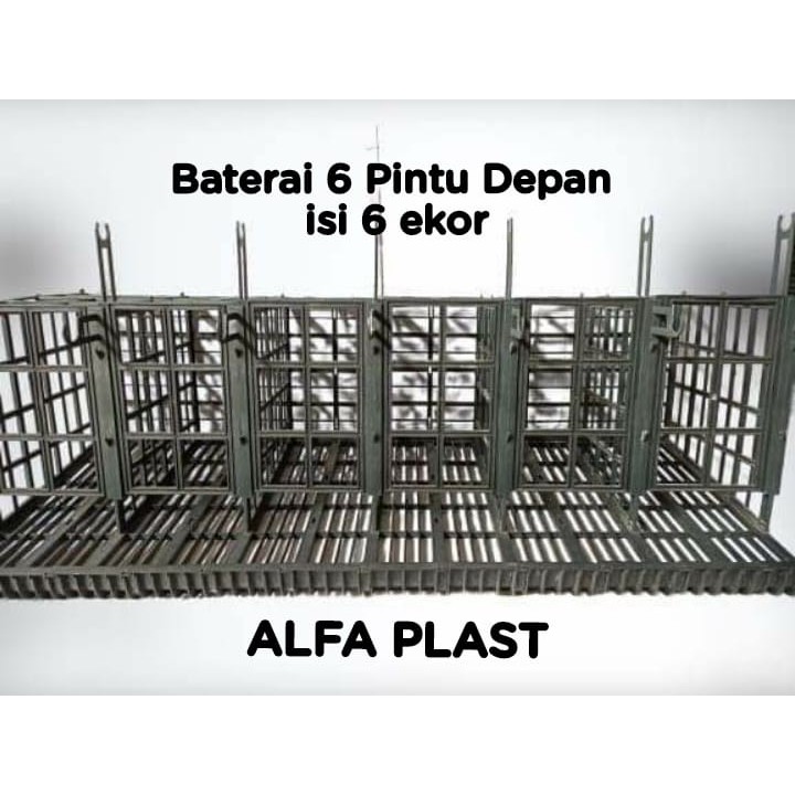 Kandang ayam petelur plastik pintu 6