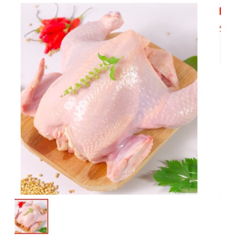 

ayam utuh ukuran 600 - 700gram