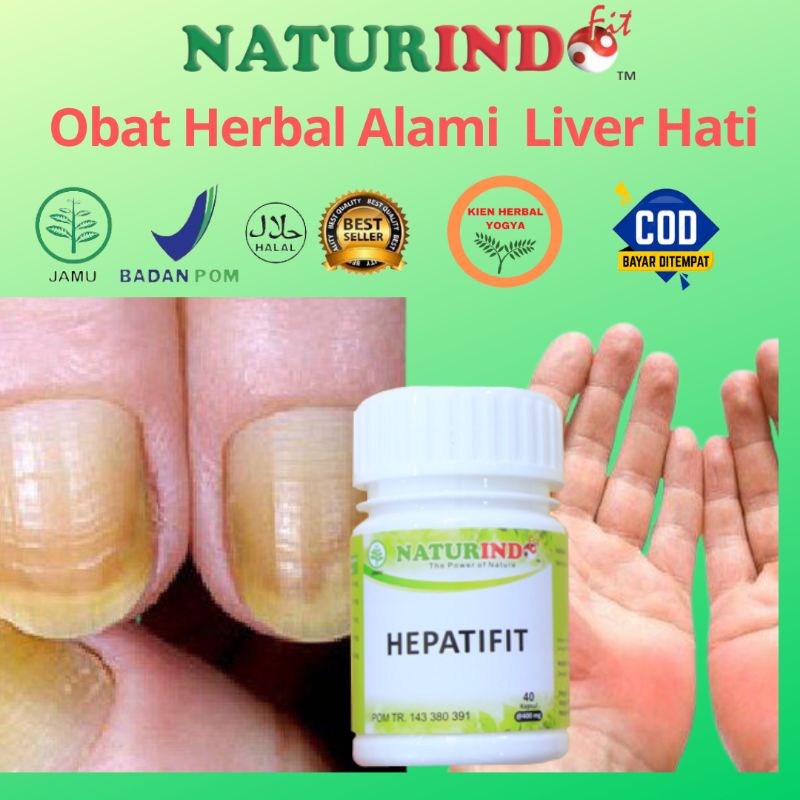 HEPATIFIT NUTRISI HATI
