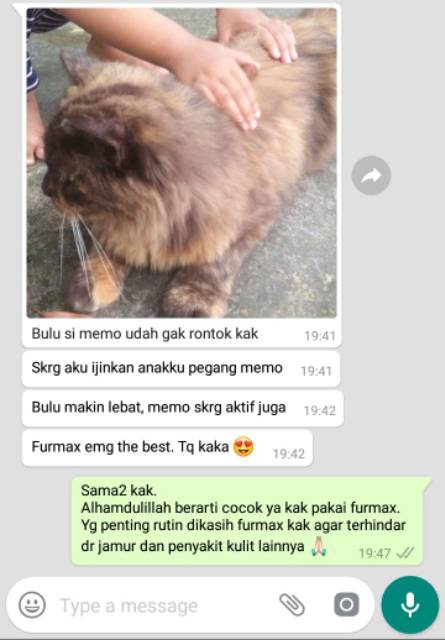 FURMAX VITAMIN BULU KUCING PENUMBUH BULU OBAT PENYAKIT KULIT ANTI BULU RONTOK PELEBAT BULU KUCING