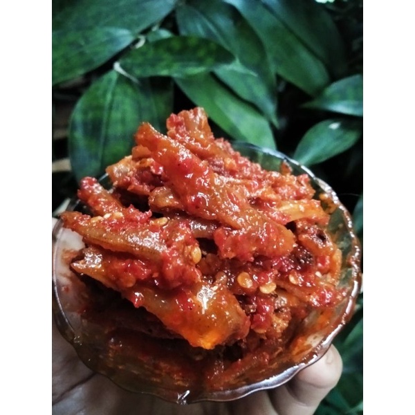 

ANEKA SAMBEL