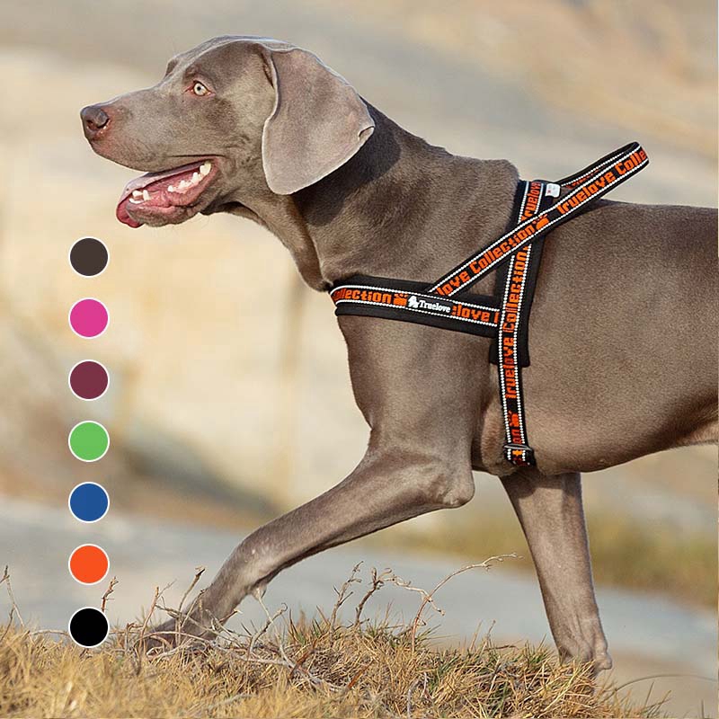 soft padded dog harness