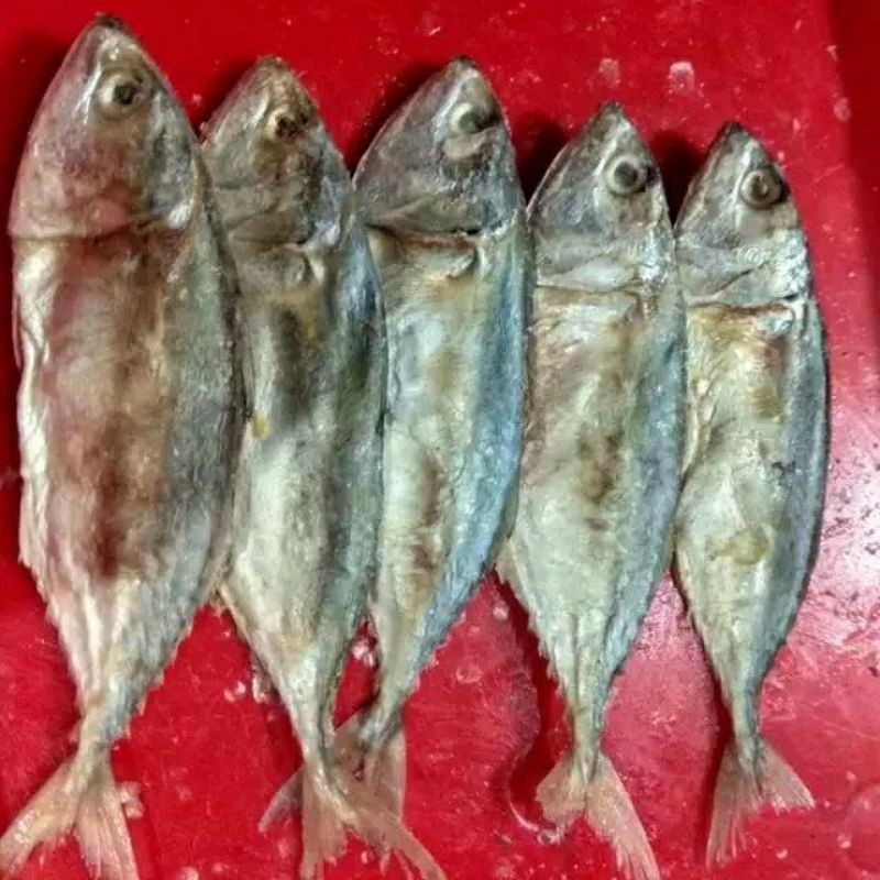 

Ikan Asin Peda 250 gr