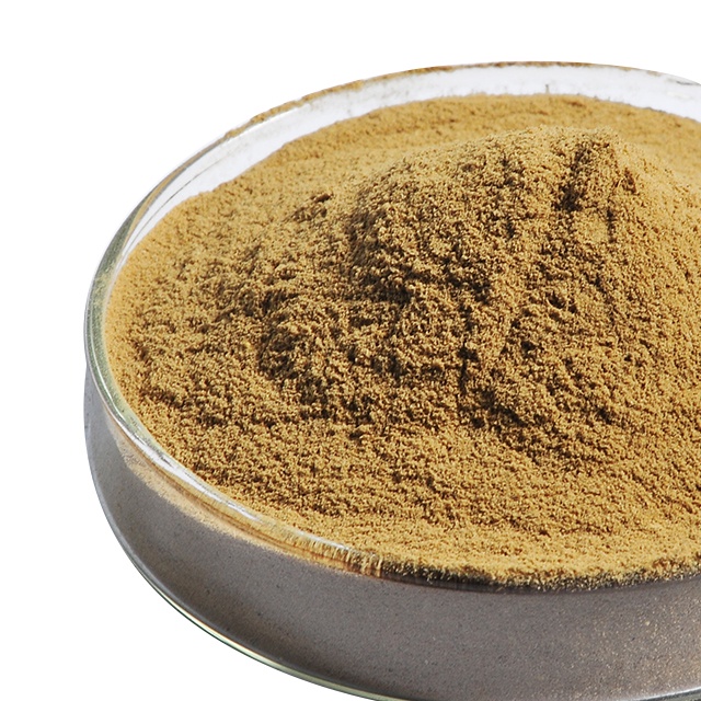 ANCHOVY Extract Powder 100g Halal | Fish Extract Powder