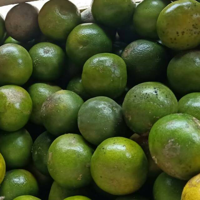 

Jeruk siam segar 1kg