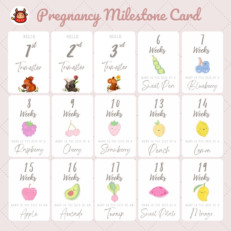 Pregnancy milestone card new design kartu selfie masa kehamilan baby mommy memory card