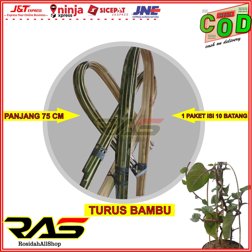 TURUS TANAMAN AJIR LENGKUNG / TURUS TANAMAN HIAS / TIANG TURUS TANAMAN /TURUS TANAMAN RAMBAT / TURUS