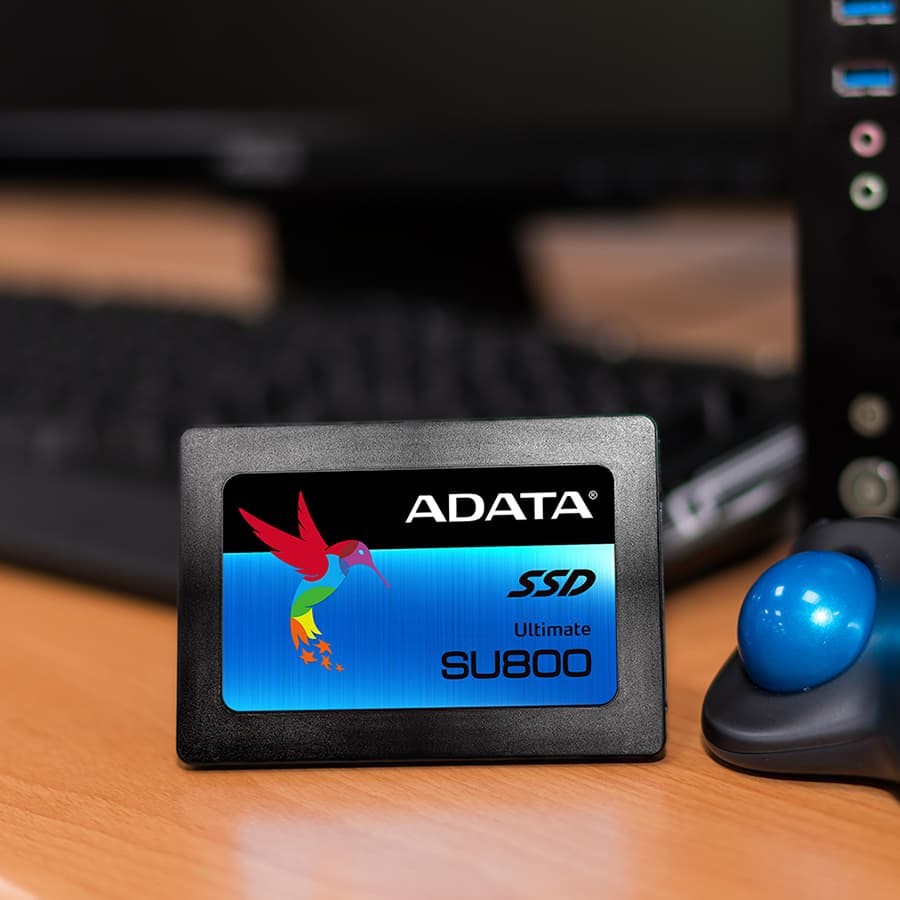SSD ADATA SU800 256GB SATA III ( R/W Up to 560 / 520MB/s )