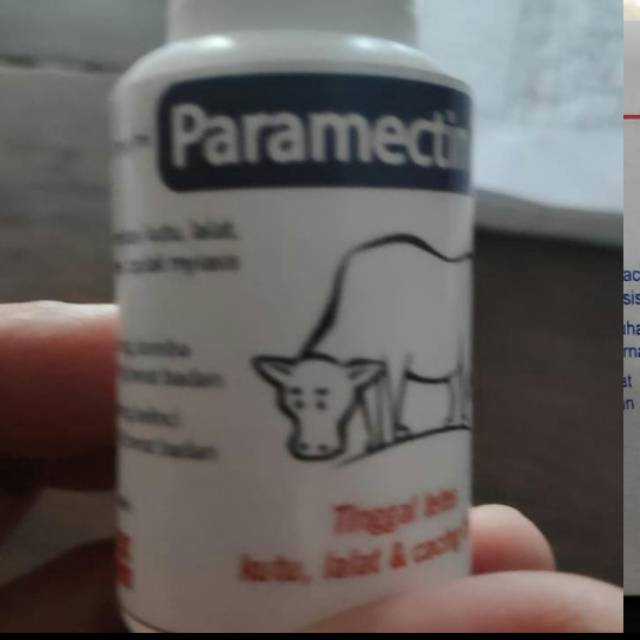 Paramectin (obat kudis,gudik,cacing,kutu pada hewan)