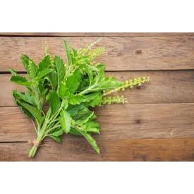 

Penyedap Daun ruku ruku /rukuruku/ penyedap makanan khas padang/ daun kemangi