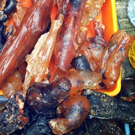 ⅍ Batuan Getah Katilayu kering asli Cirebon ❋