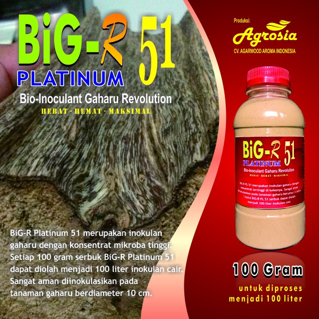 BiG-R Platinum 100 gram - Inokulan Pembentuk Gubal Gaharu Super
