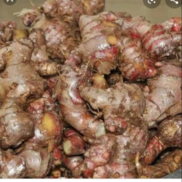 

Jahe merah berkhasiat 500gr
