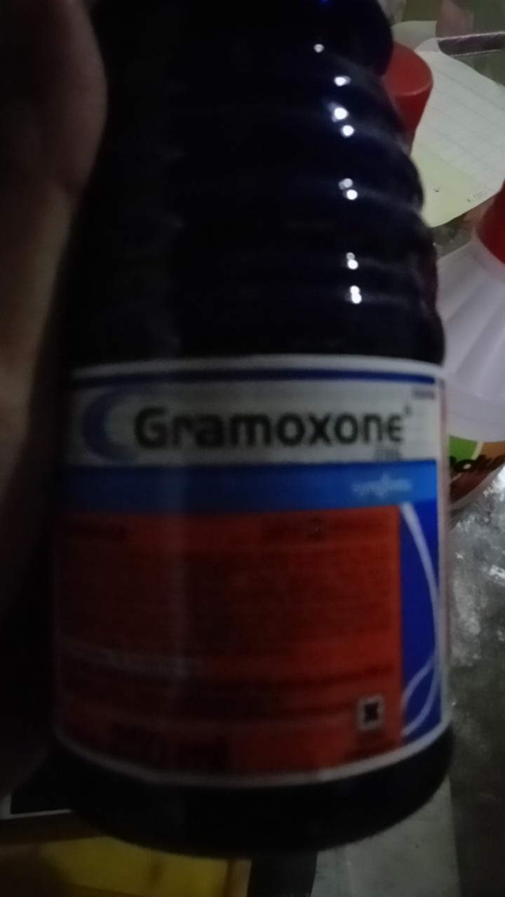 Gramoxone Herbisida 1liter,500ml,250ml