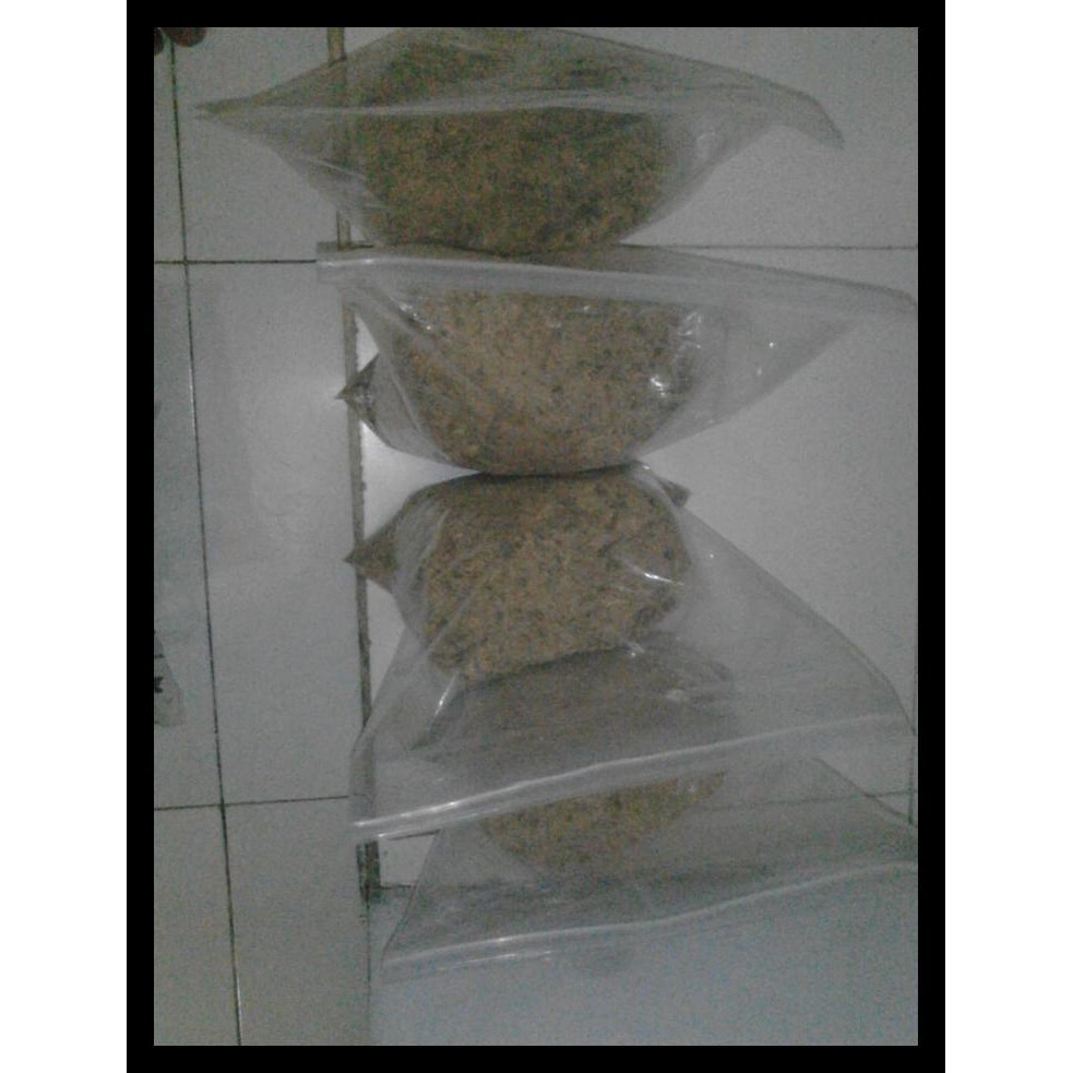 

Ikan Roa Tumbuk Badan Gratis Ongkir