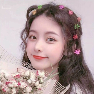 Klip Warna Permen Warna Wanita Aksesoris Rambut Warna Klip Warna Permen Warna Wanita Aksesoris Rambut Warna