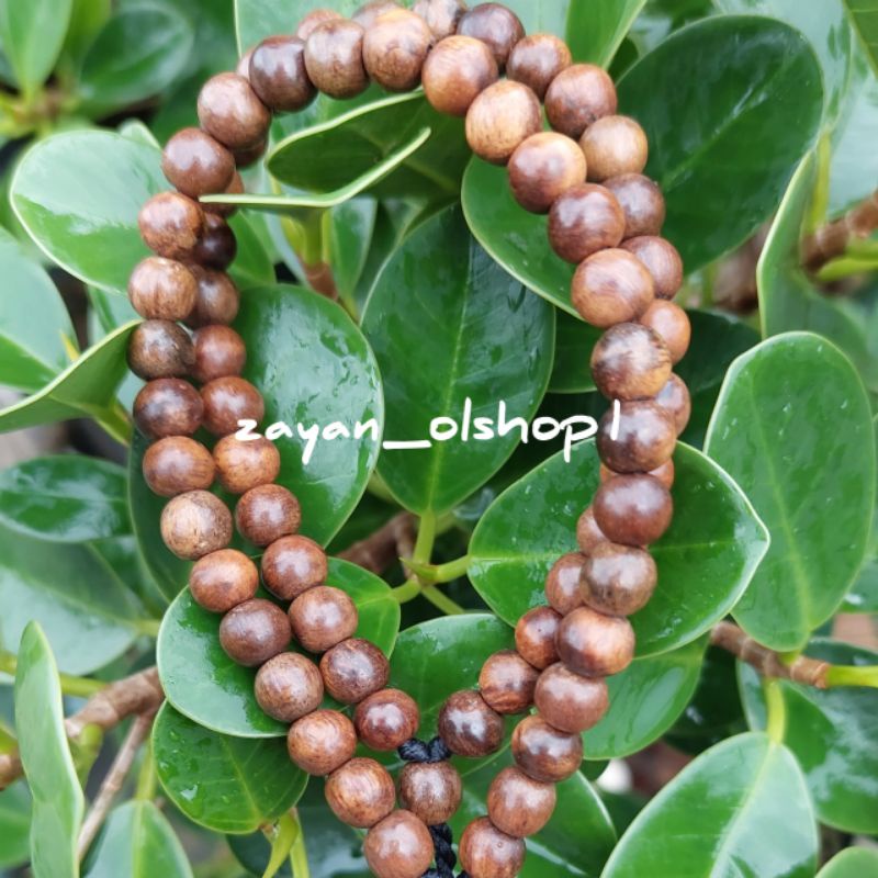 gelang kayu gaharu wangi asli 6mm gelang kayu gaharu asli