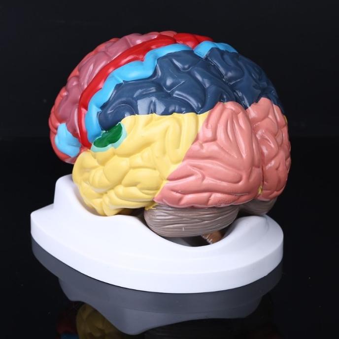 

(BISA COD) 1Pc Deli 6824 Waterproof Permanent Dual Tip 0.5/1.0Mm Nib InGOO FREE ONGKIR Kode 1098