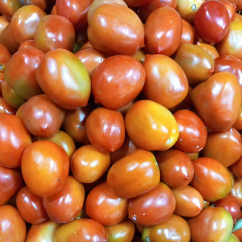 

Tomat sayur/Tomat Besar/Tomat merah 500gram
