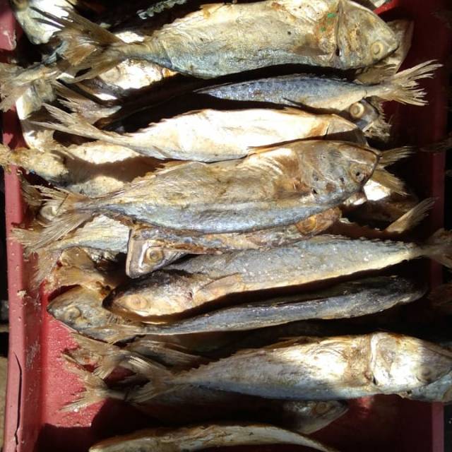 

IKN ASIN BANYAR SUPER