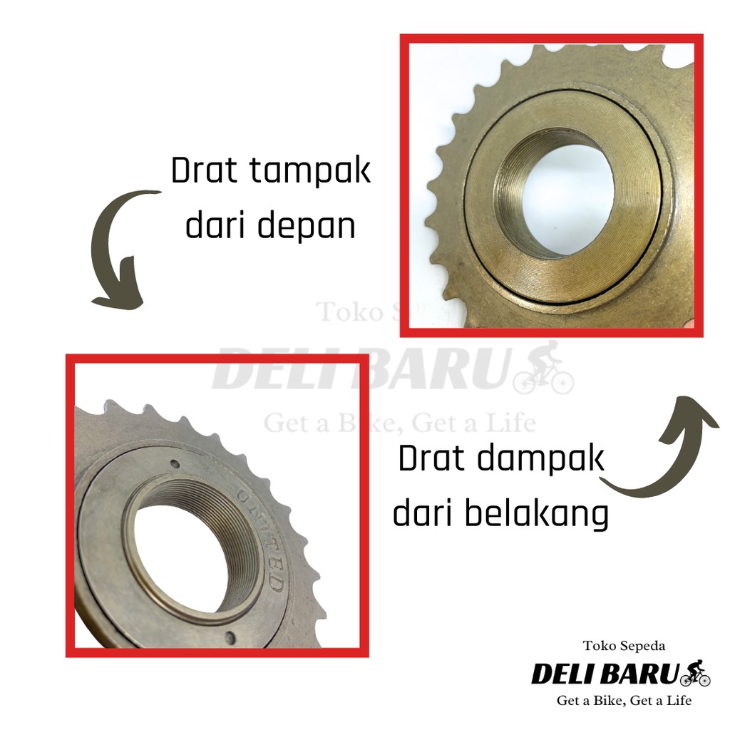 United Gear gir belakang freewheel 24T sepeda BMX