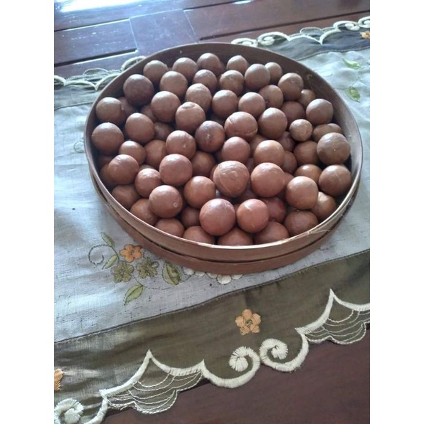 

1KG KACANG MACADAMIA / CANGKANG LANGSUNG DARI PETANI