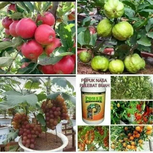 Power nutrition nasa