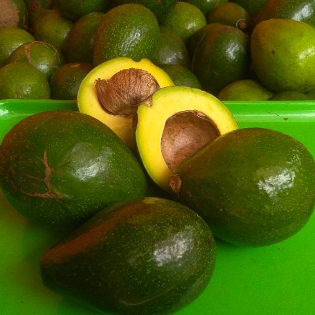 

Buah Alpukat mentega pulen / avocado 1kg MPASI