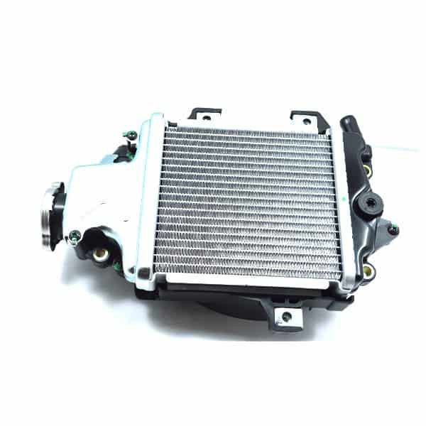 Radiator Assy Vario 125 CBS ISS 19100KZR602