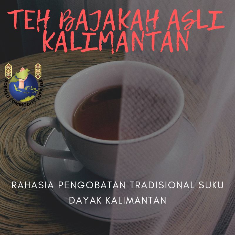 

obat kanker alami dari kalimantan teh celup bajakah murni