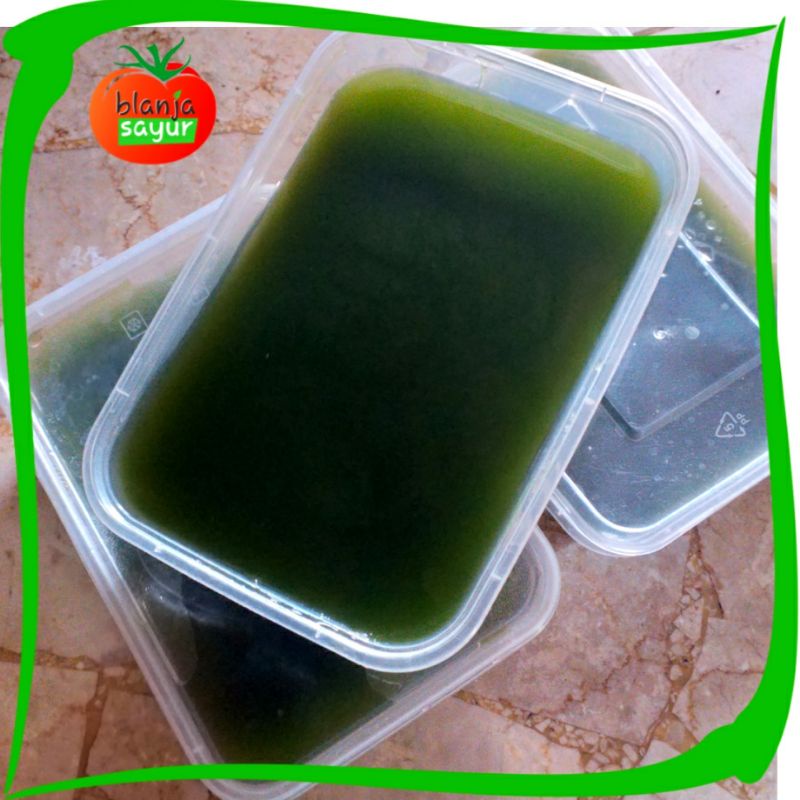 

Cincau hijau/jelly murni tanpa bahan pengawet