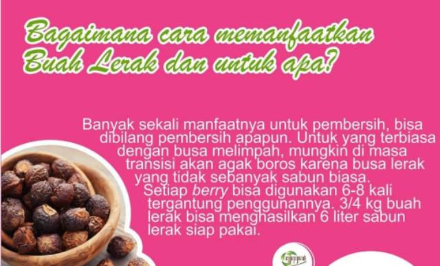 Sabun lerak batangan batang untuk clodi menspad batik ningrat