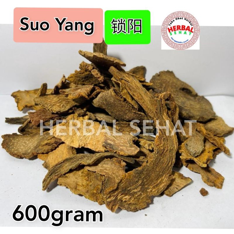 

Suo Yang Pian Jiu Suo Yang So Jong Herba Cynomorii Songarici 600 gr - 1kg